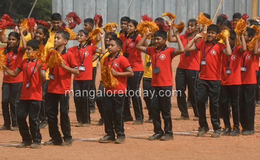 Rajyotsava